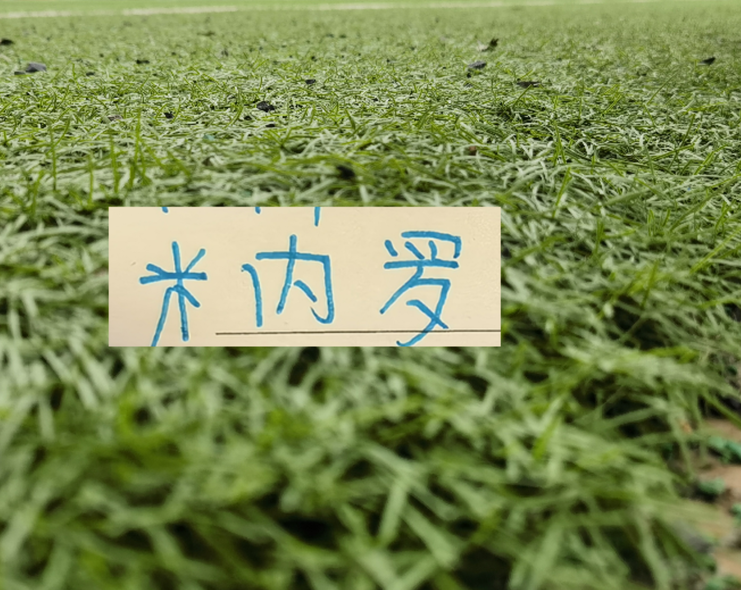 开云-11号米内罗又更新训练照片 去年他可是14场联赛斩获8个球申花米神